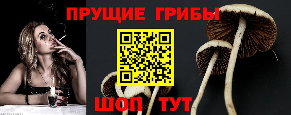 Казань  Галлюциногенные грибы MAGIC MUSHROOMS  Вход с VPN 